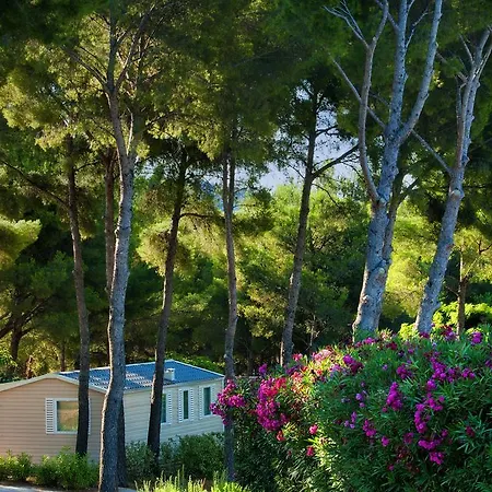 Camping Les Dauphins Campsite Saint-Cyr-sur-Mer