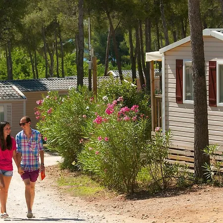 Camping Les Dauphins 3* Saint-Cyr-sur-Mer