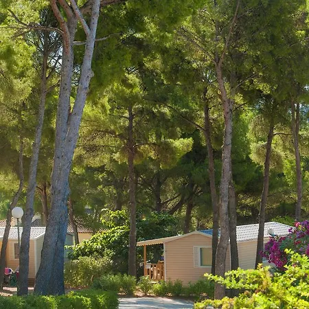 Camping Les Dauphins 3* サン・シル・シュル・メール